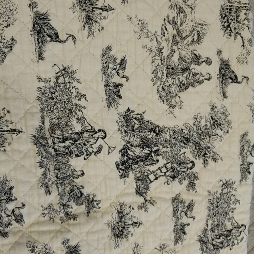 King toile quilt and shams